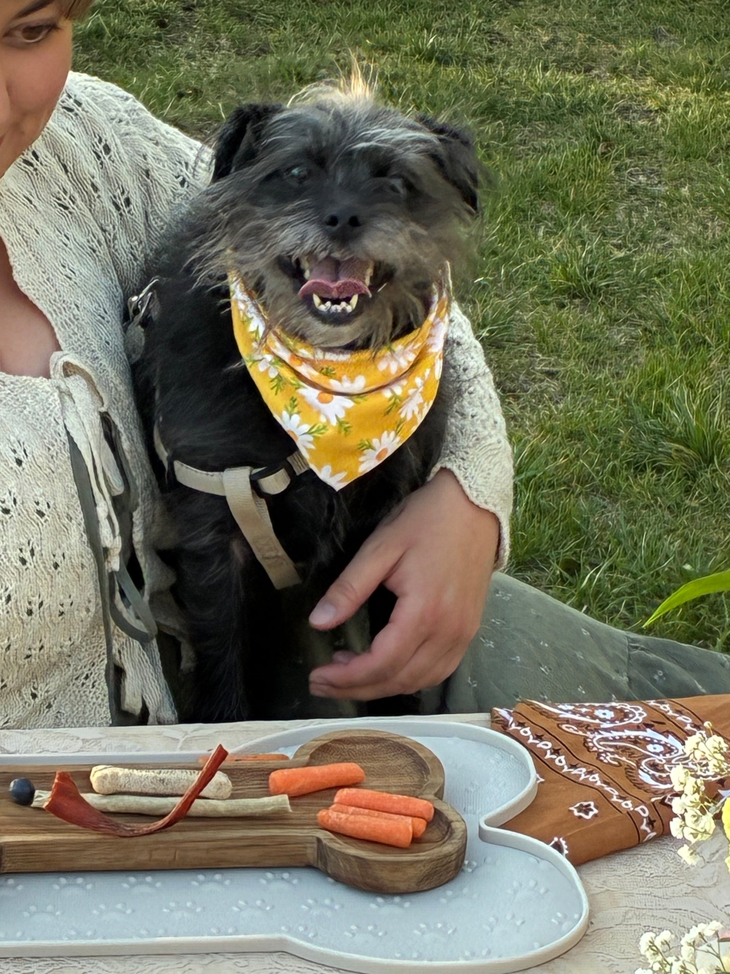 Luxury Picnic & Nature Walk Experience
