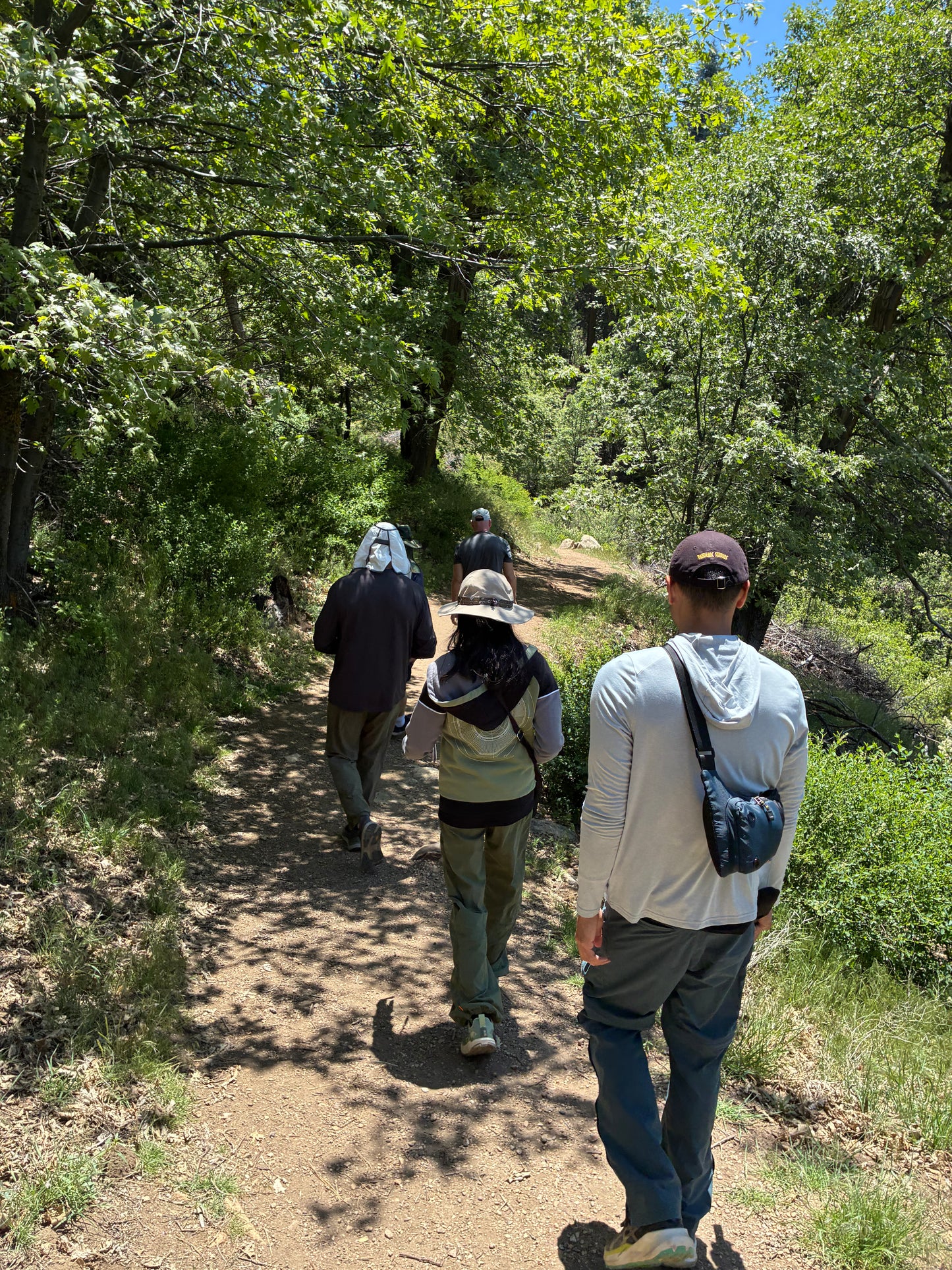 Luxury Picnic & Nature Walk Experience