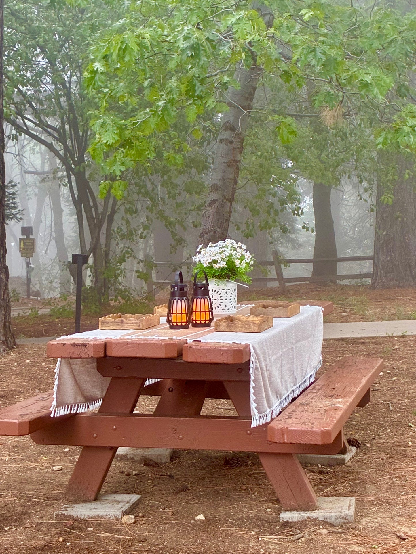 Luxury Picnic & Nature Walk Experience